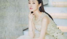 宋轶最新八卦爆料,神秘男友身份引网友热议